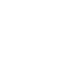 Phone Call Icon