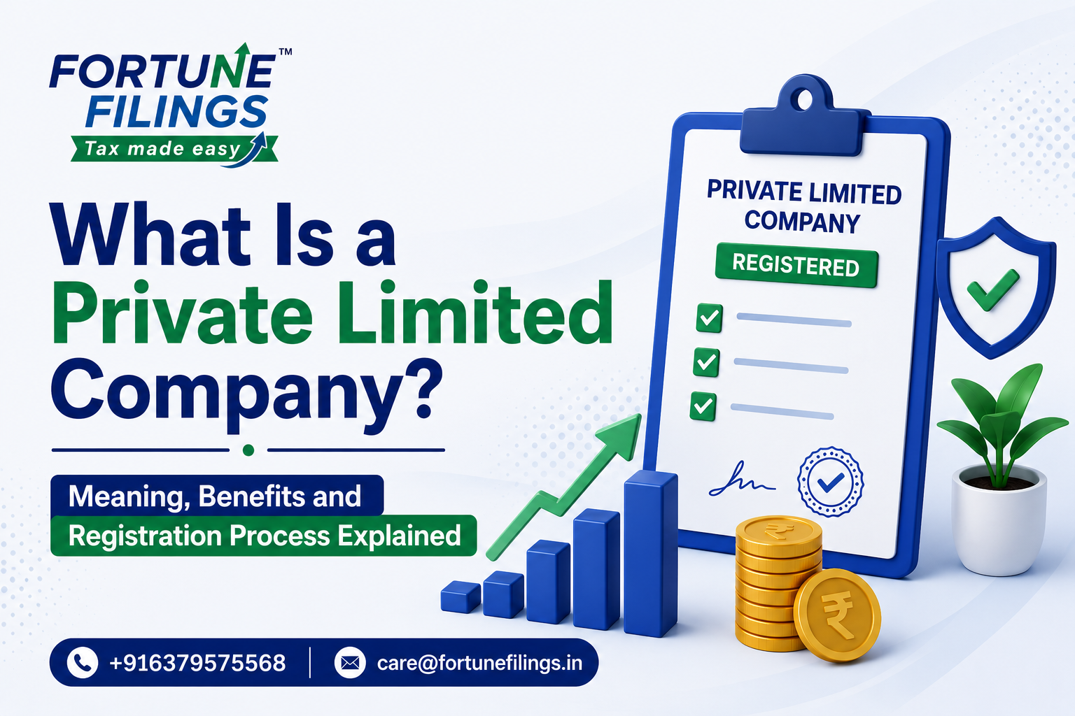 What Is a Private Limited Company? Meaning, Benefits and Registration Process Explained