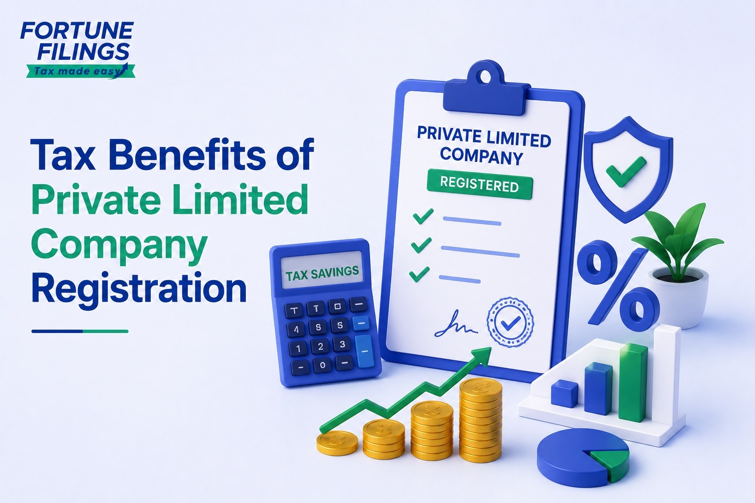 Tax Benefits of Private Limited Company Registration 