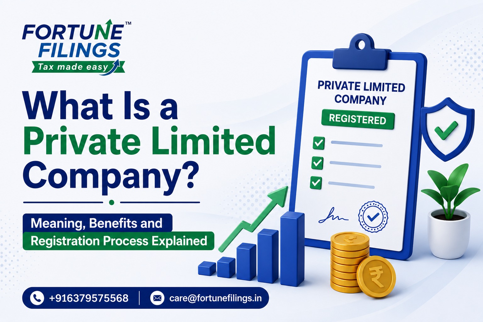 What Is a Private Limited Company? Meaning, Benefits and Registration Process Explained